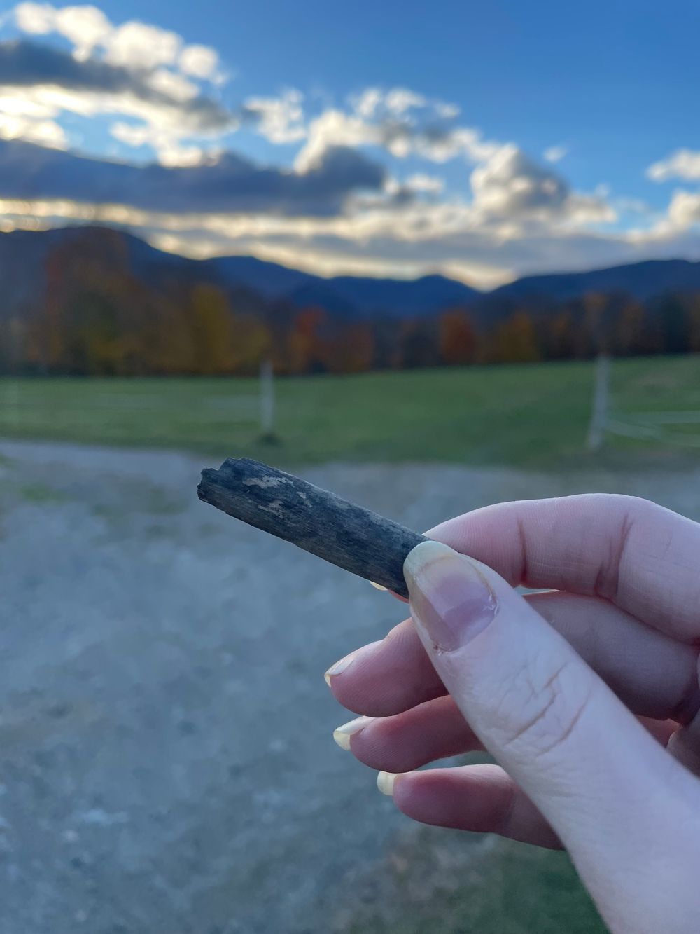 Closeup of Molly holding a small sliver of wood, maybe from a post, during fall with the mountains in the background with the leaves almost gone